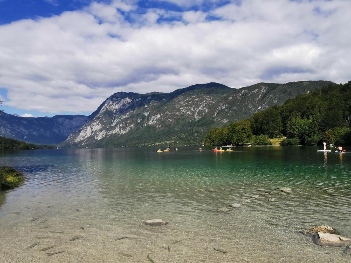 Bohinj, Metka - Vacation House Pri Metki מראה חיצוני תמונה
